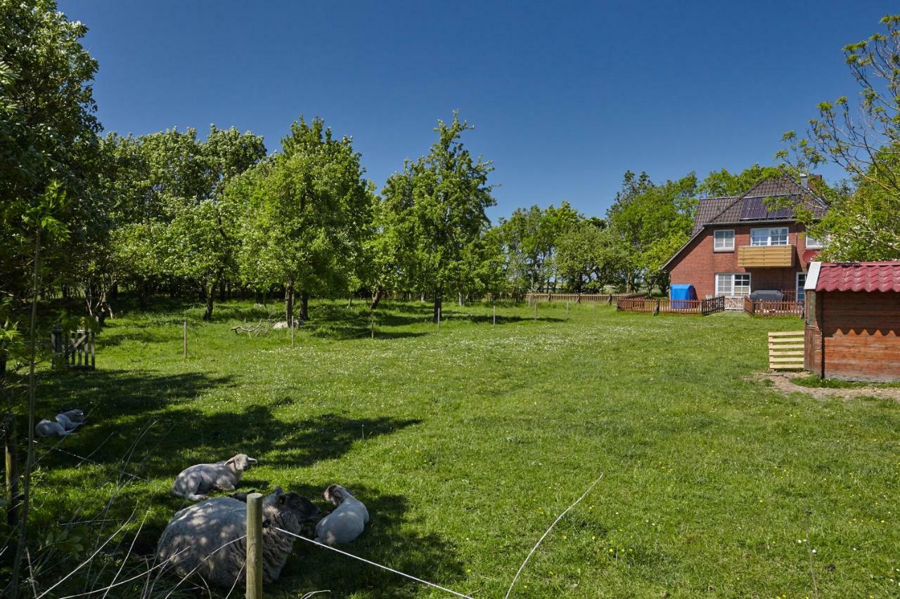 Fewo Auf Dem Lande / Nahe Spo Tümlauer-Koog Kültér fotó